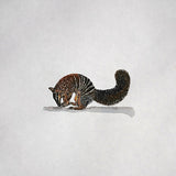 Animalis – Numbat 2026