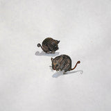 Animalis – Pygmy Possum 2026