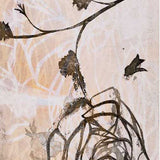 Coming & Going VIII 2022