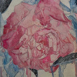 Illuminate II – b 2025