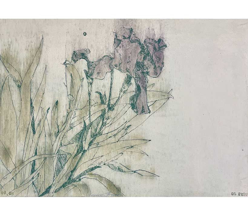 Irises II 2020