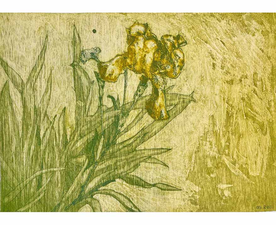Irises II 2020