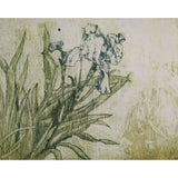Irises II 2020