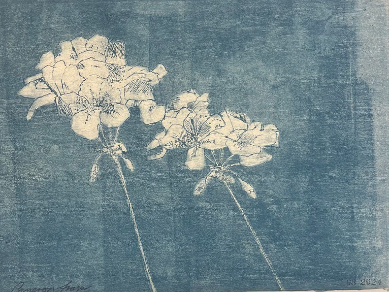 Small geraniums 2024