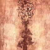 Large snapdragon II 2024