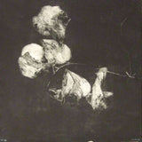 Suspiro II (medium) 2010