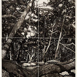 The Tangled Wood (composition IV) 2018