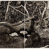 The Tangled Wood (composition VIII) 2018