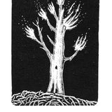 Burning Moonlight IV 2025