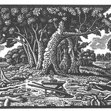 Begin again (study I) 2020