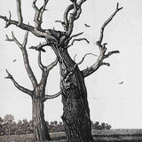 Time passes together 2023