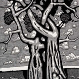 Two trees entwined 2024