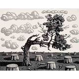 The crooked tree 2024