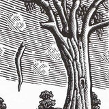 Falling limb (study) 2024