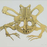 HIDEO TAKEDA Altamira – Bullfrog 1994