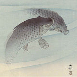 Ohara Koson  Two bluish-grey carp swim through ripples of water c.1900