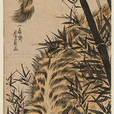 UTAGAWA YOSHIKAZU (active 1848 – 1870) Tiger in a bamboo grove  c. 1852