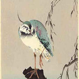 OHARA KOSON (1877 – 1945) Night heron  c. 1910