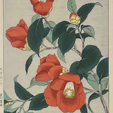 KAWARAZAKI SHODO (1889 – 1973) Red camelias  c. 1950