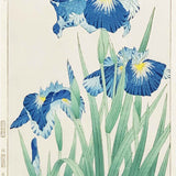 KAWARAZAKI SHODO (1889 – 1973) Irises c. 1957