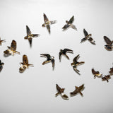 A lost song – Australian Alps 2023