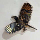 Regent honeyeater II 2023