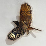 Regent honeyeater III 2023