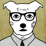 Mr Correct (Hank) 2014