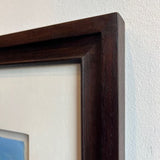 She oaks in the sunshine, Rushcutters Bay 2014