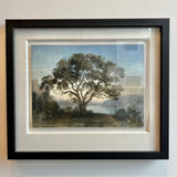 Paperbark dreaming 2020