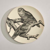 Tawny Frogmouth 2025