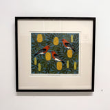 Scarlet honeyeater and banksia 2024