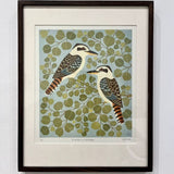 Kookaburras and red box 2024