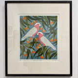 Galahs & eucalyptus 2025