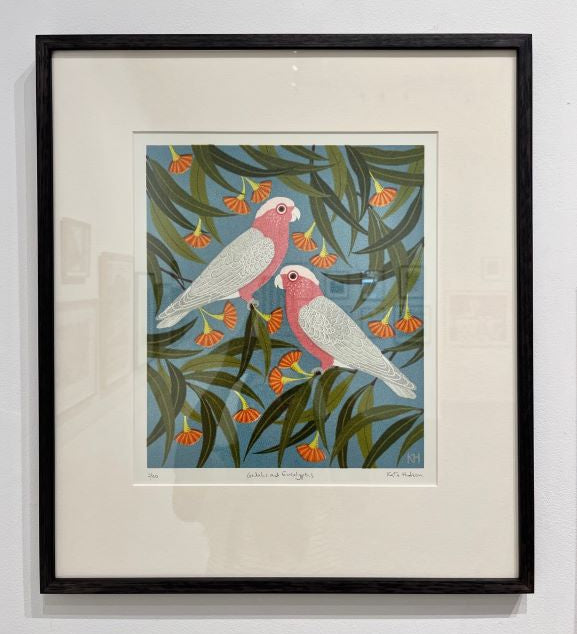Galahs & eucalyptus 2025
