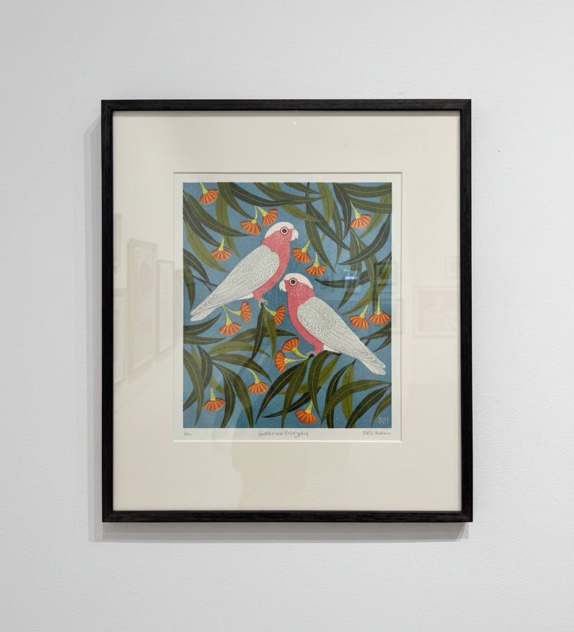 Galahs & eucalyptus 2025
