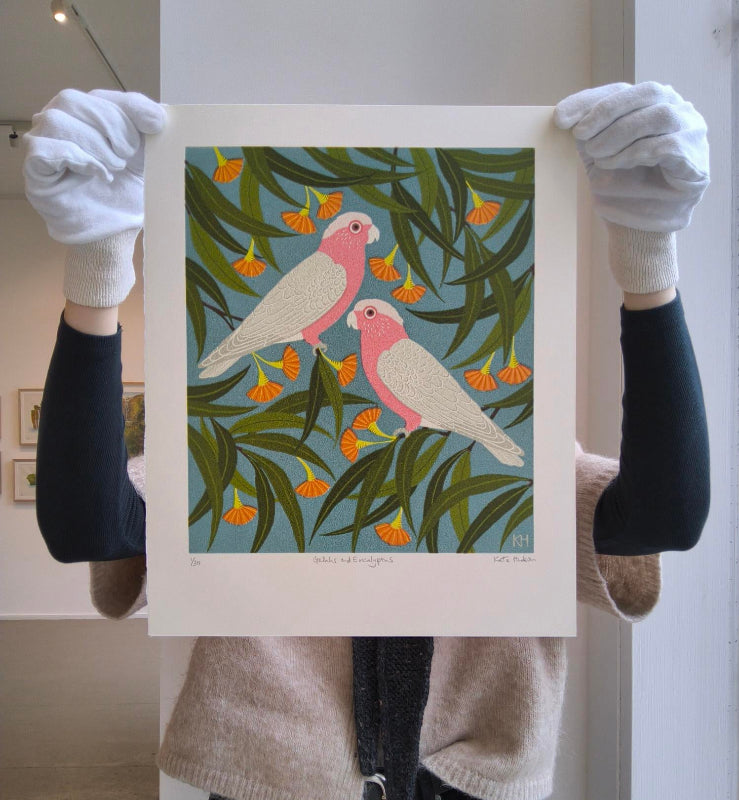 Galahs & eucalyptus 2025