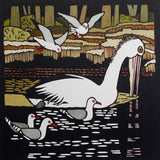 Pelican at the Don River 2014