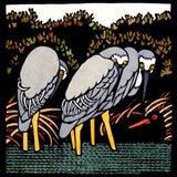 Sheltering herons 2012