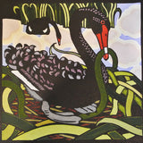 Nesting swan 2015