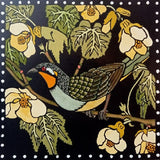 Yellow-throated honeyeater II 2024