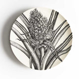 Cactus in Bloom 2019