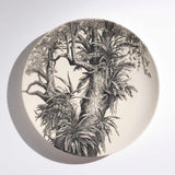 Symbiosis with Orchids 2022