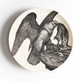 Bearded Vulture 2019