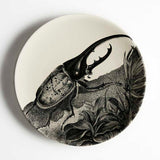 Hercules Beetle 2021