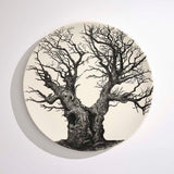 The Old Oak Tree 2023