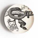 Australian Diamond Snake 2019