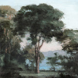 Morning, Nielsen Park 2007