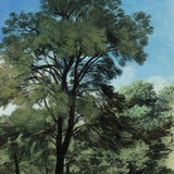 She oaks in the sunshine, Rushcutters Bay 2014