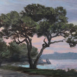 Shark Bay, after the storm 2014